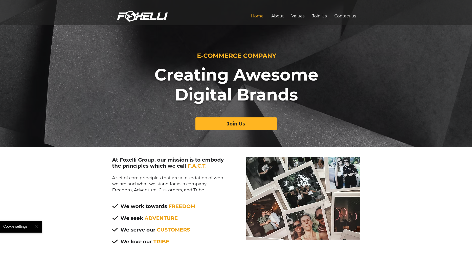 Foxelli Group - Multi-Brand E-commerce